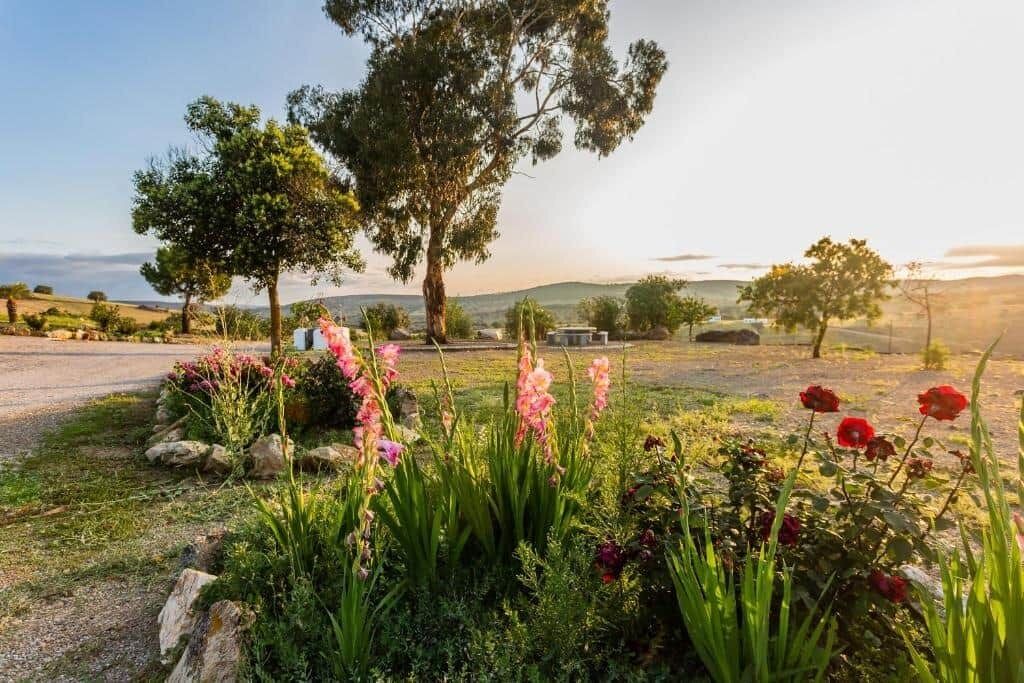 Photo of Outdoor in Penarroya-Pueblonuevo