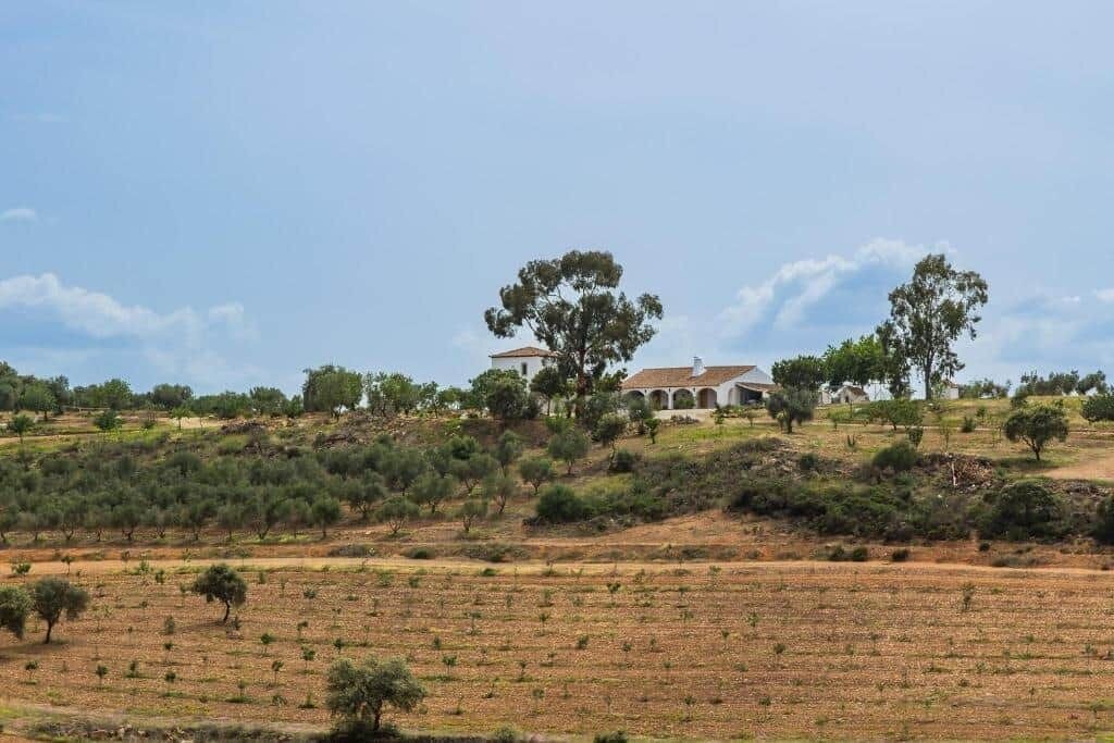 Photo of Others in Penarroya-Pueblonuevo