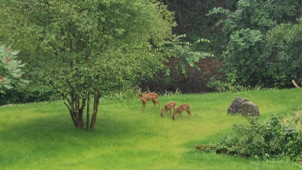 Photo of Outdoor in Lubow