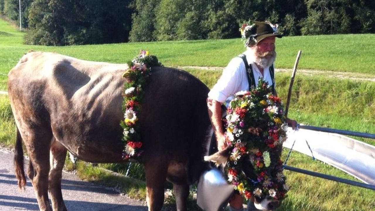 Photo of Others in Reichenbach