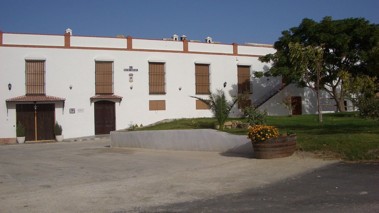 Photo of Outdoor in Moriles