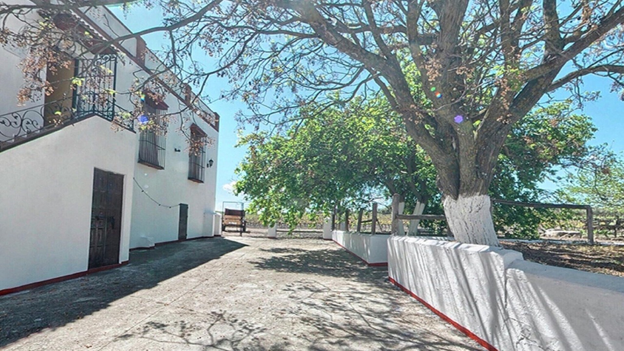 Photo of Outdoor in Moriles
