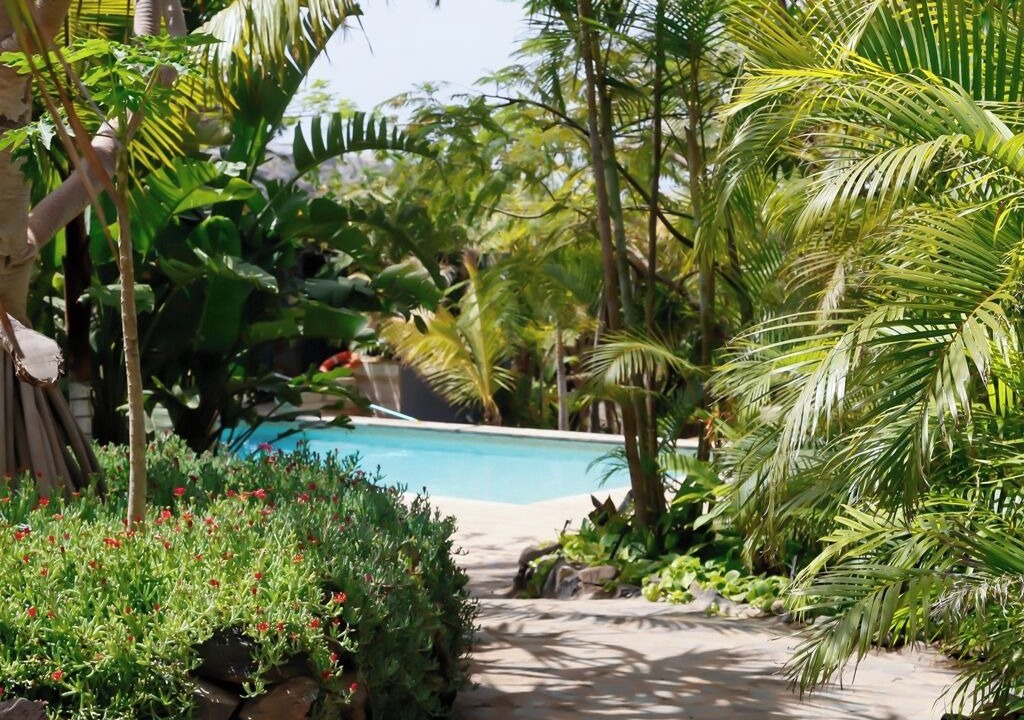 Photo of Outdoor in Guia de Isora