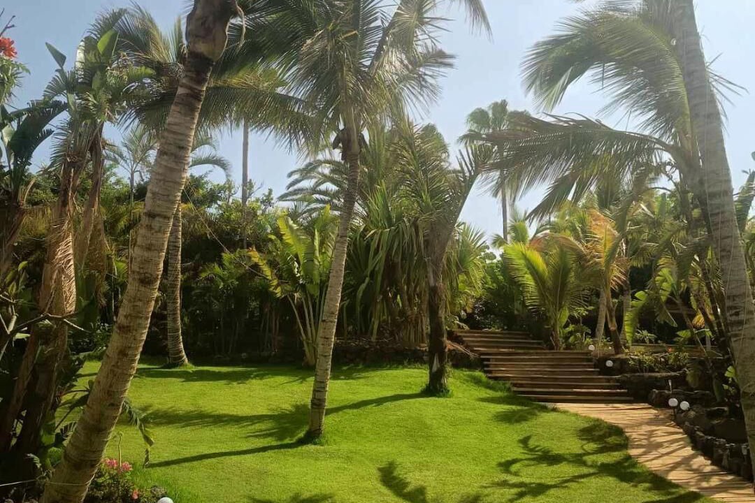 Photo of Outdoor in Guia de Isora