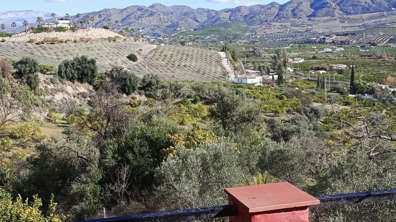 Photo of Others in Pizarra