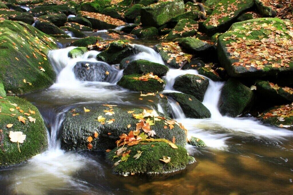 Photo of Others in Kirchdorf im Wald