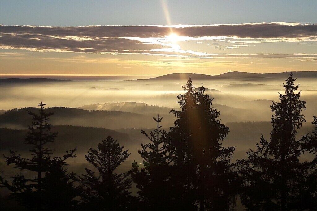 Photo of Others in Kirchdorf im Wald