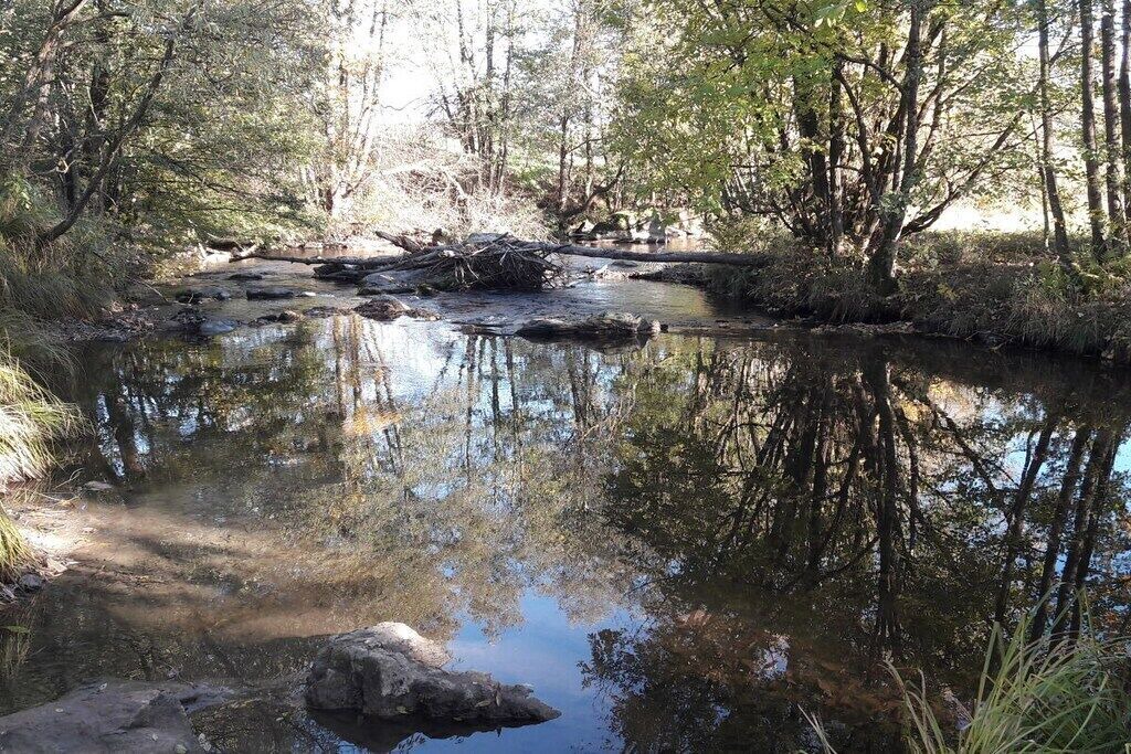 Photo of Others in Kirchdorf im Wald