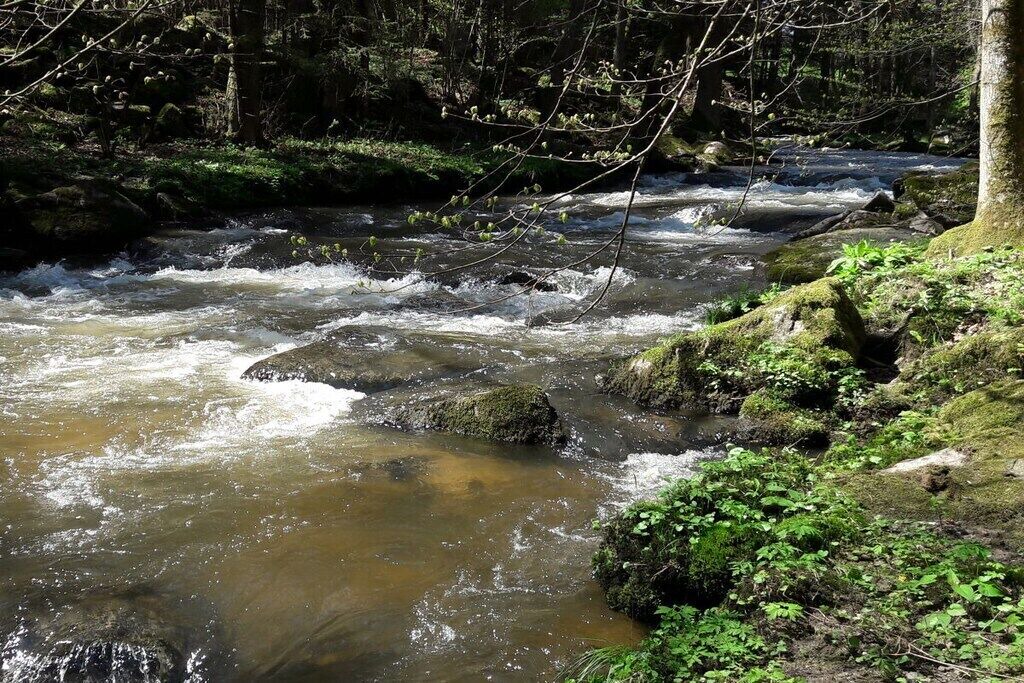 Photo of Others in Kirchdorf im Wald