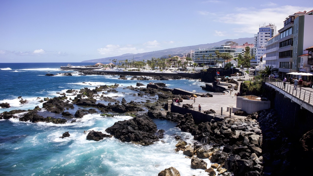 Photo of Others in Puerto de la Cruz
