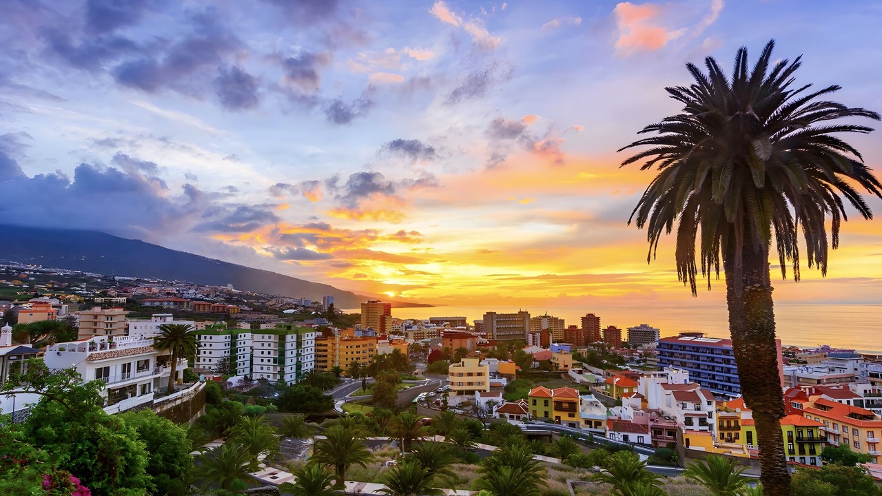 Photo of Others in Puerto de la Cruz