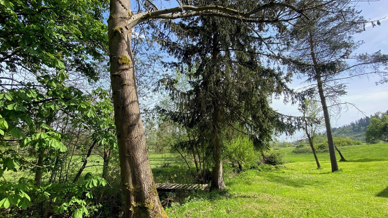 Photo of Others in Pressig