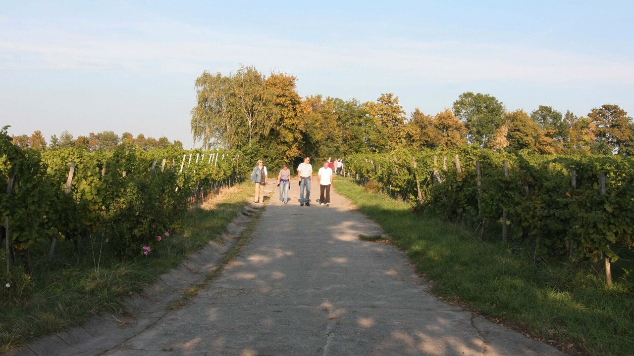 Photo of Others in Wiesenbronn
