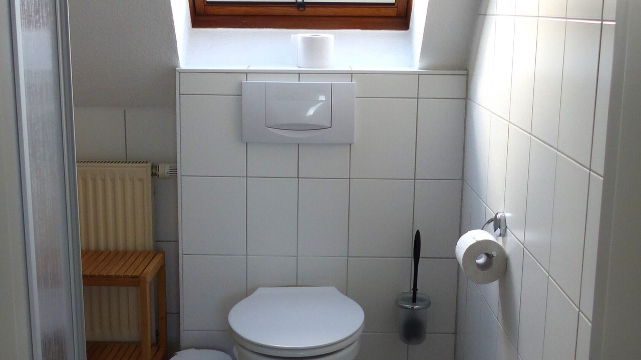 Photo of Bathroom in Thiessow
