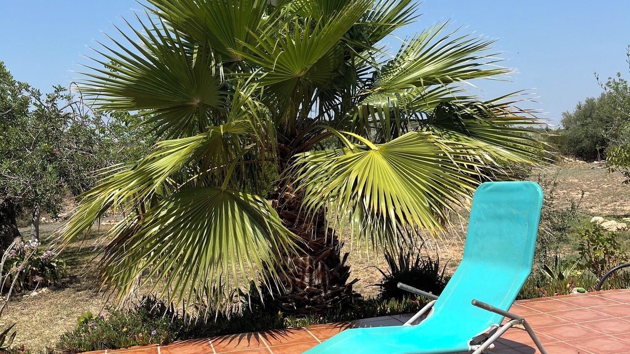 Photo of Patio Balcony in Calig
