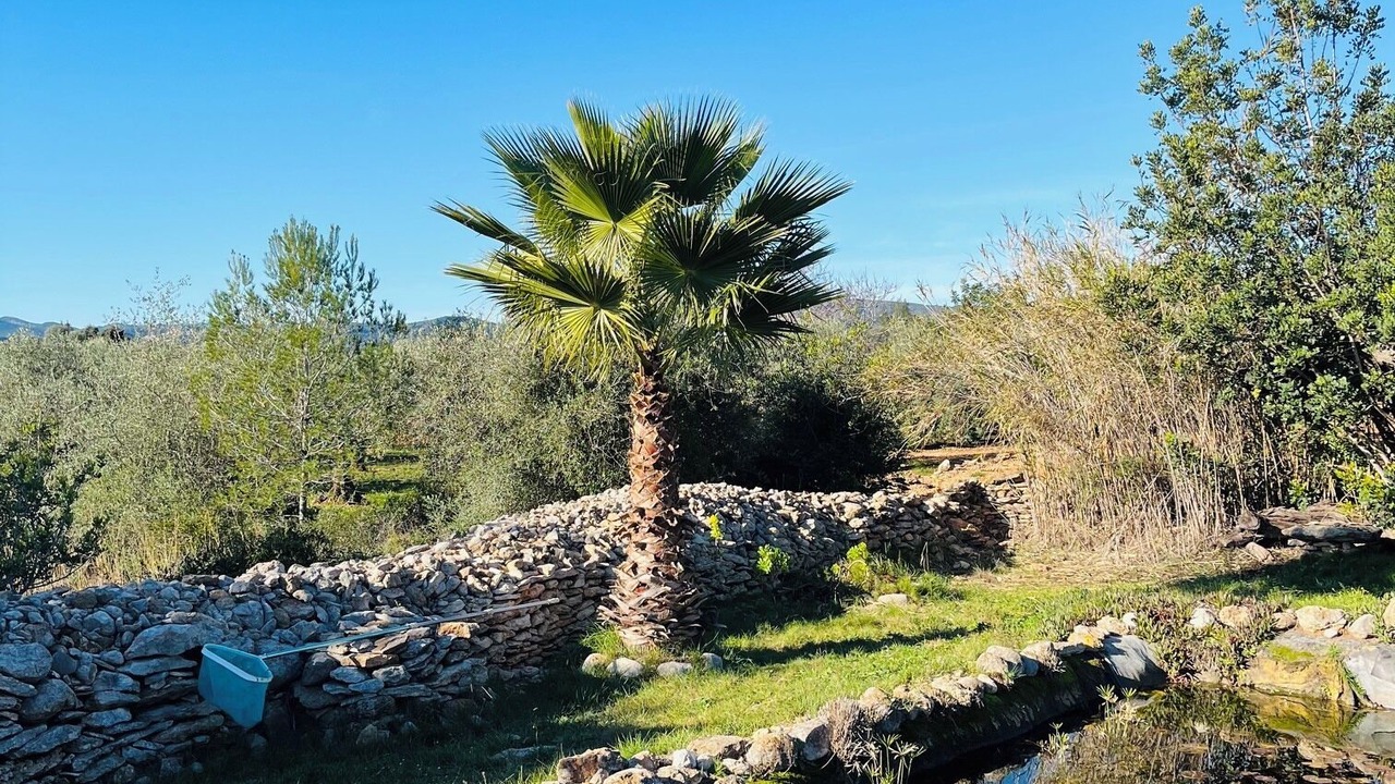 Photo of Outdoor in Calig