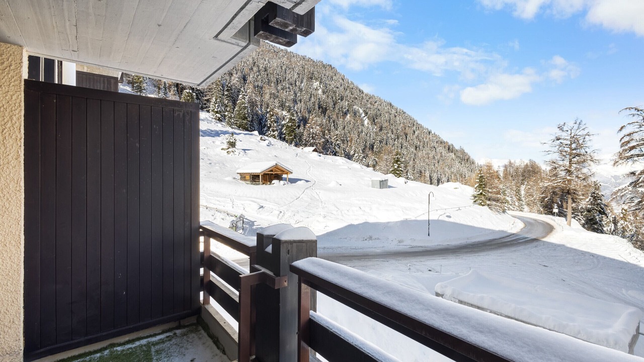 Photo of Outdoor in Noveli