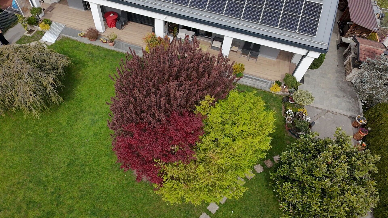Photo of Outdoor in Limana
