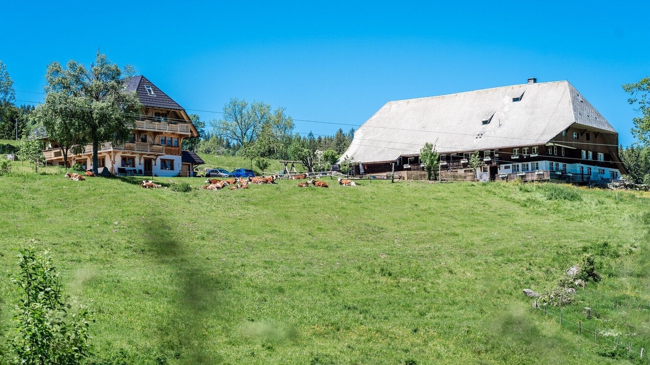 Photo of Outdoor in Hinterzarten