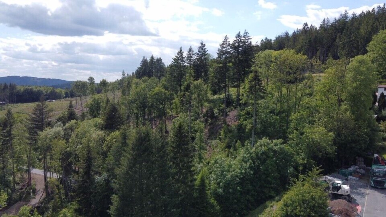 Photo of Others in Wallenfels