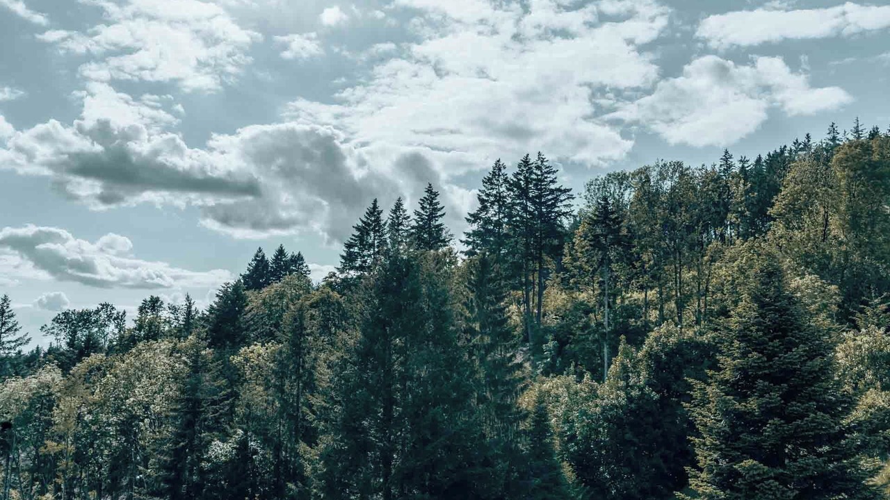 Photo of Others in Wallenfels