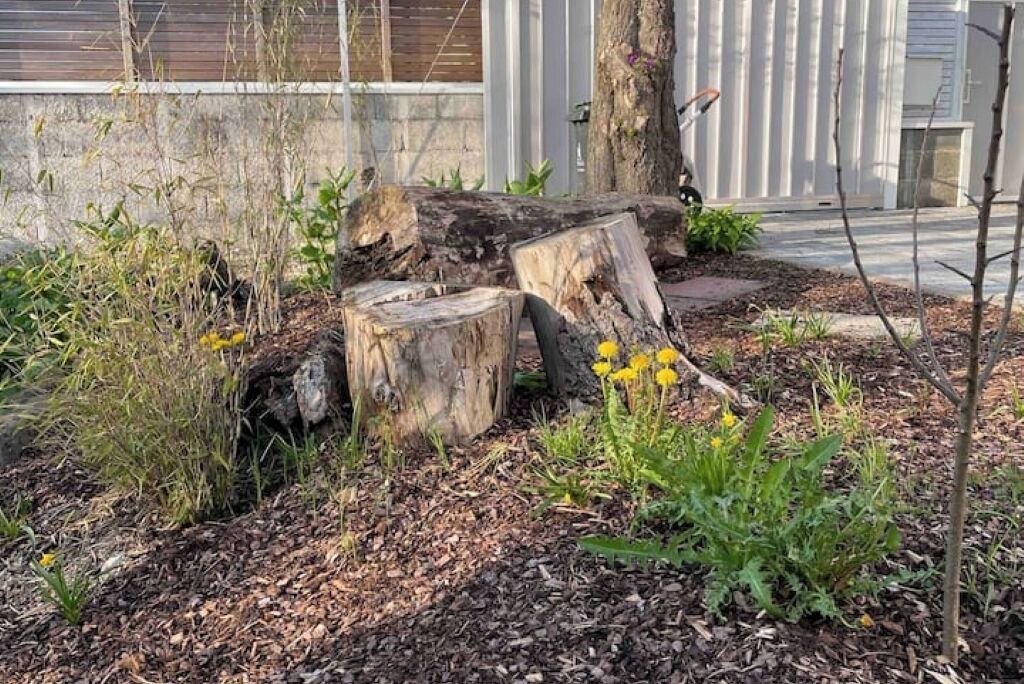 Photo of Outdoor in Biessenhofen