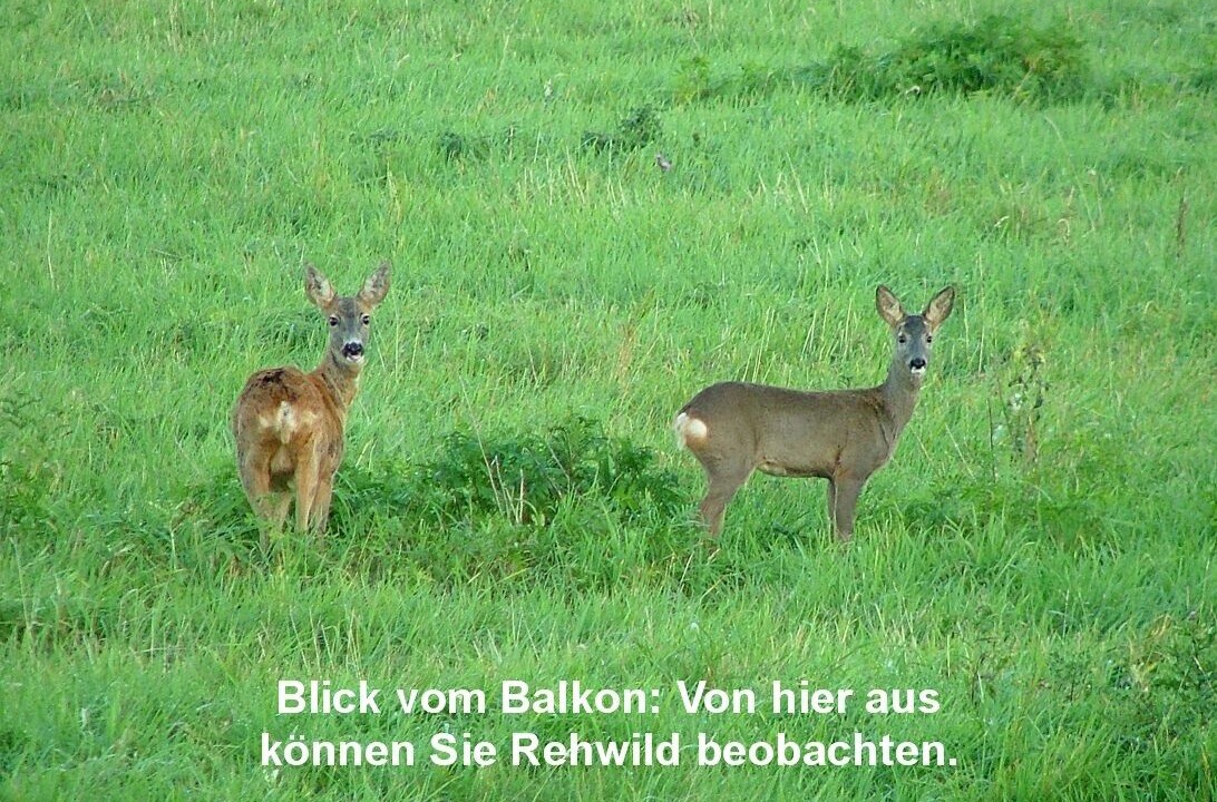 Photo of Others in Wittenbeck