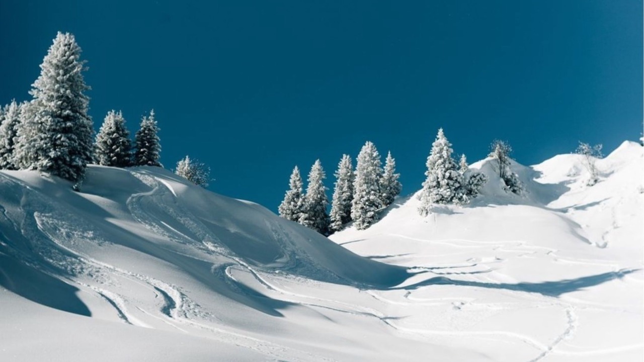 Photo of Others in Hoefen