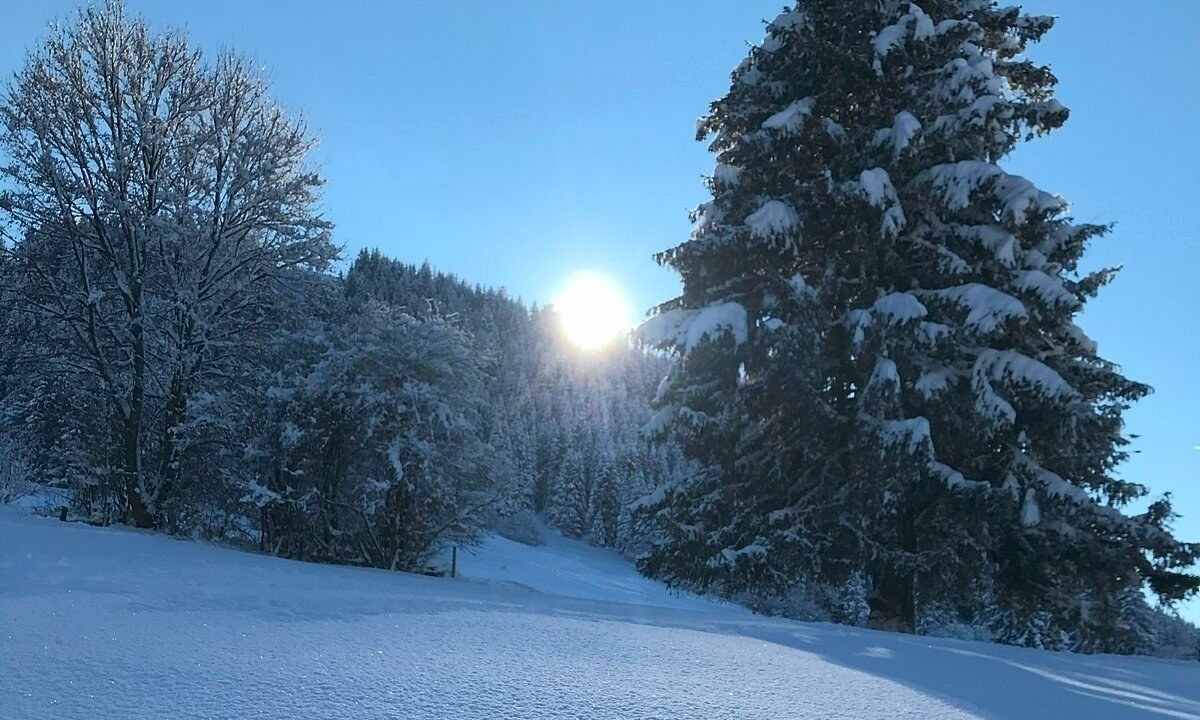 Photo of Others in Berghof