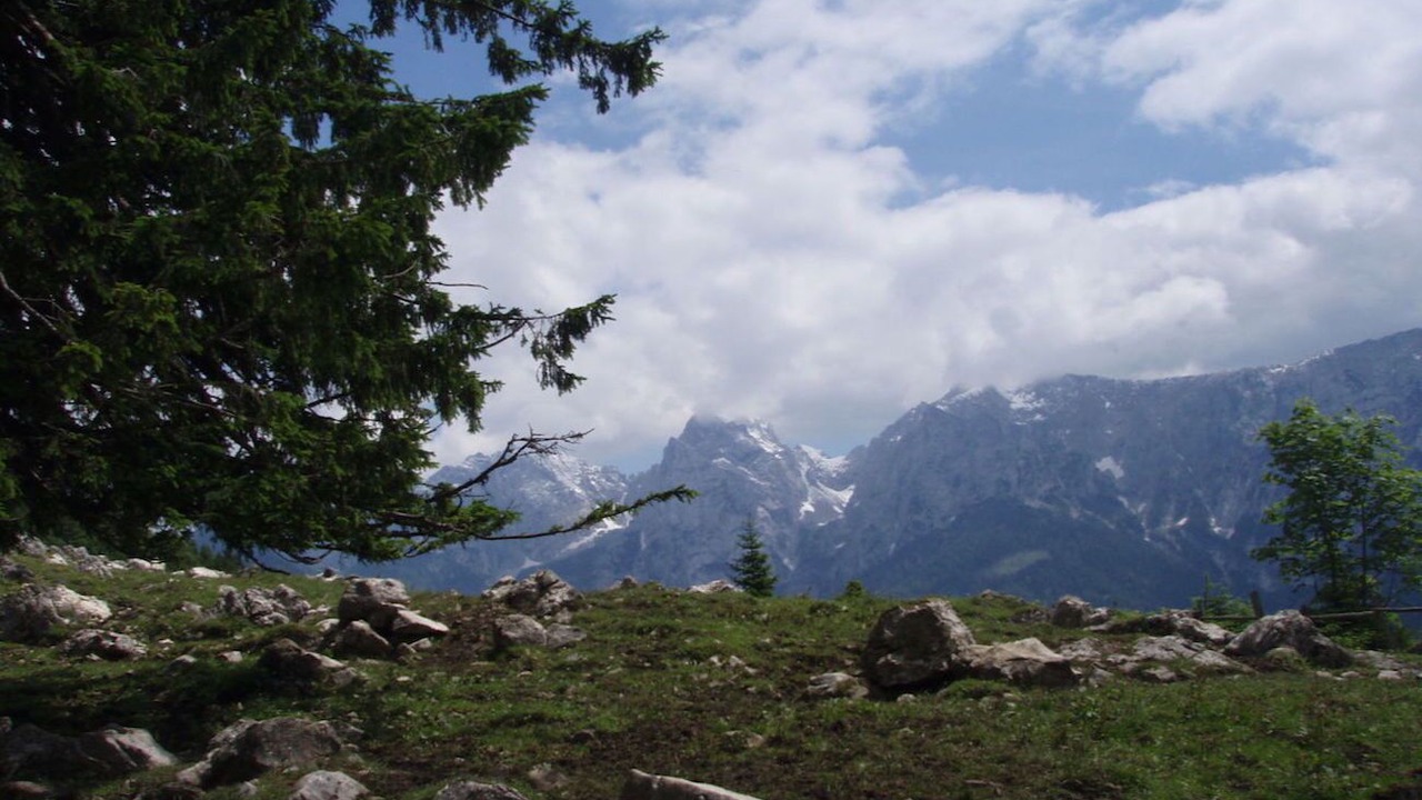 Photo of Others in Aschau im Chiemgau