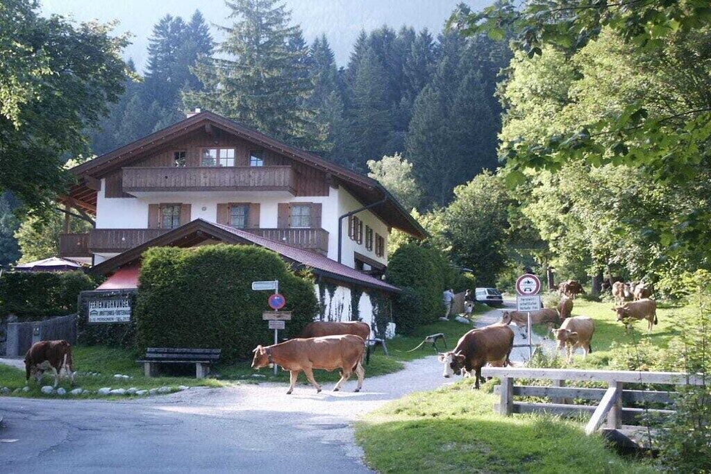 Photo of Others in Garmisch-Partenkirchen