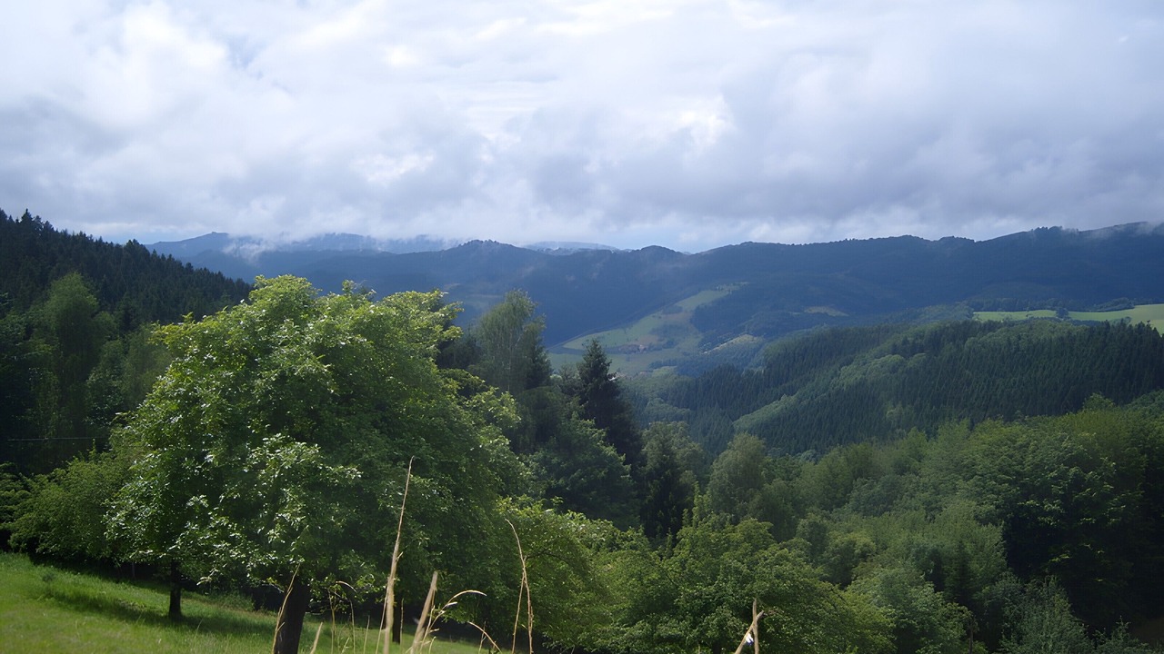 Photo of Others in Oberharmersbach