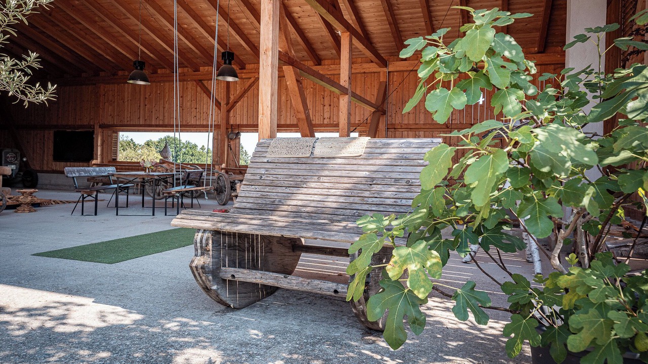 Photo of Patio Balcony in Samerberg