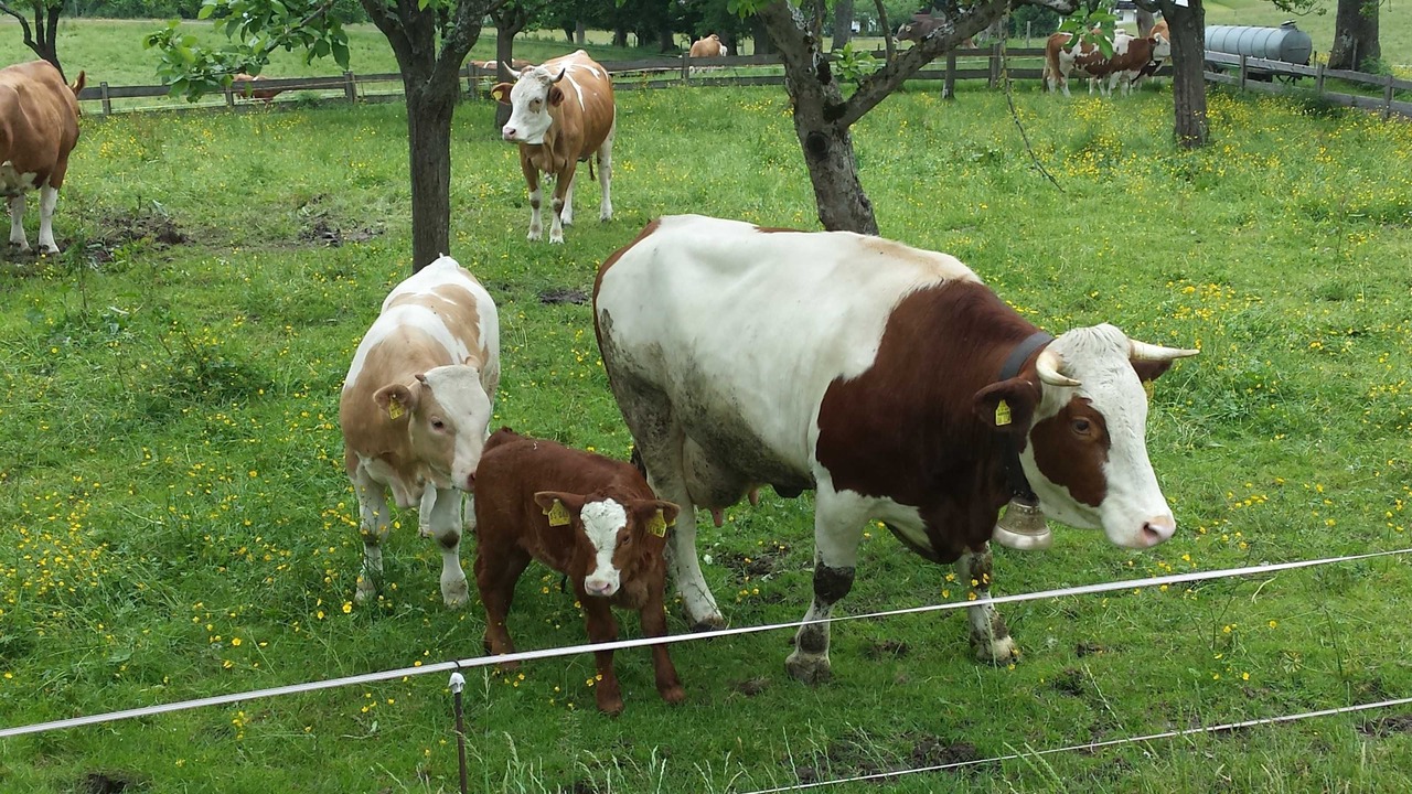Photo of Others in Gmund am Tegernsee