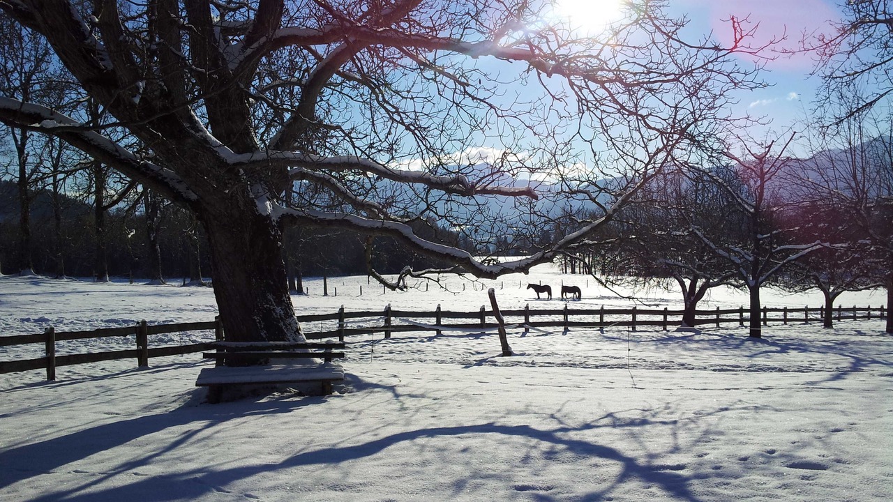 Photo of Others in Gmund am Tegernsee