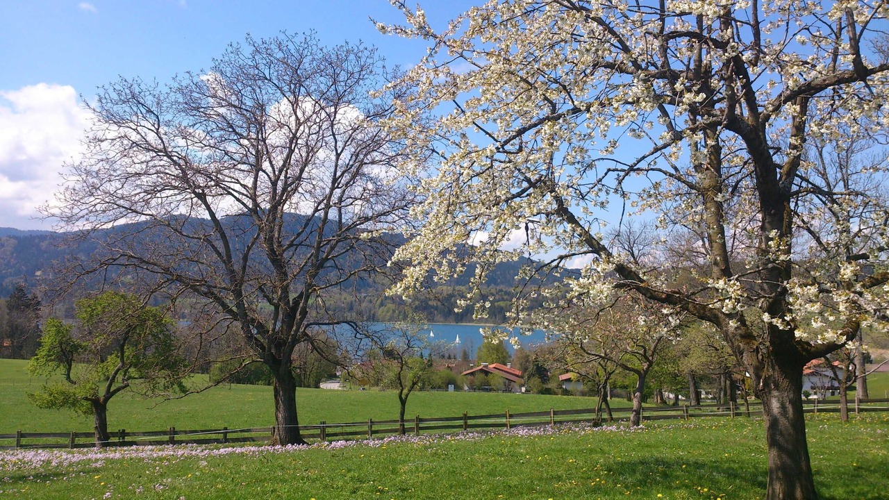 Photo of Others in Gmund am Tegernsee