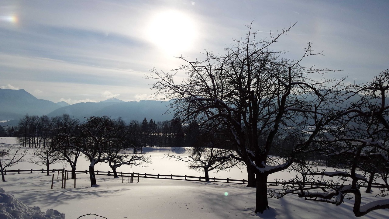 Photo of Others in Gmund am Tegernsee