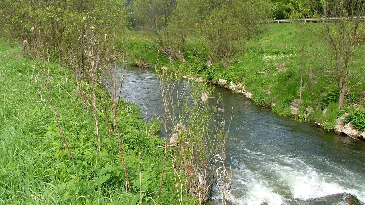 Photo of Others in Wallenfels