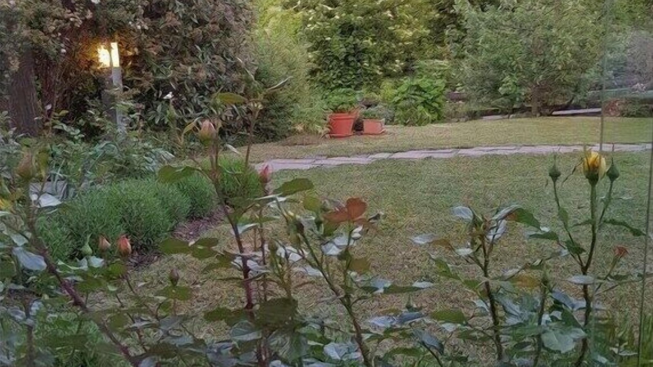 Photo of Others in Ebermannstadt