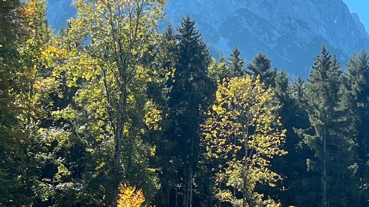 Photo of Others in Hammersbach