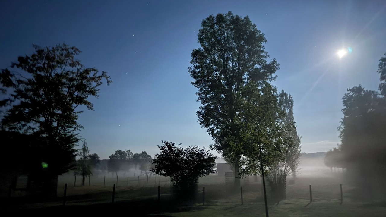 Photo of Others in Everswinkel