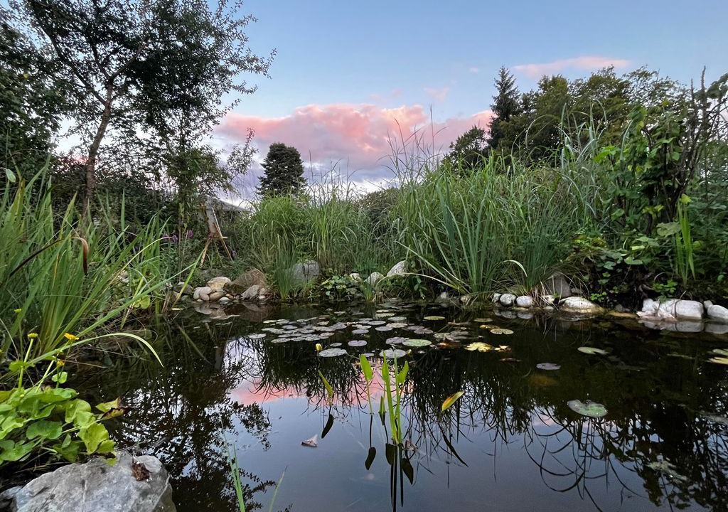 Photo of Outdoor in Westried