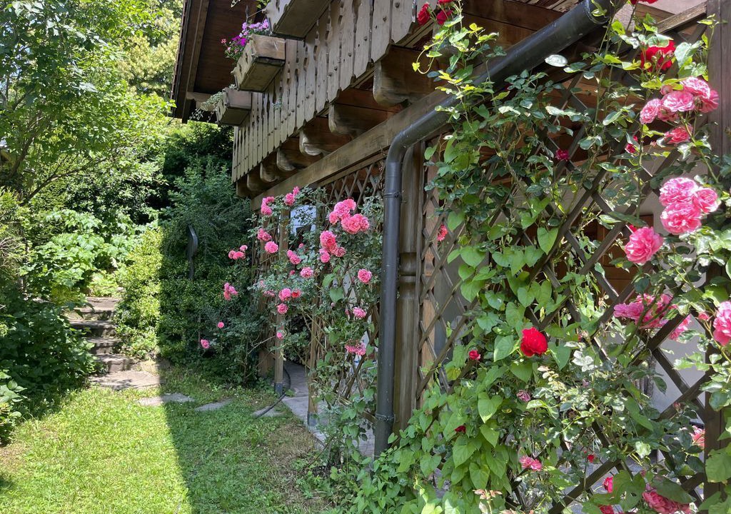 Photo of Outdoor in Westried