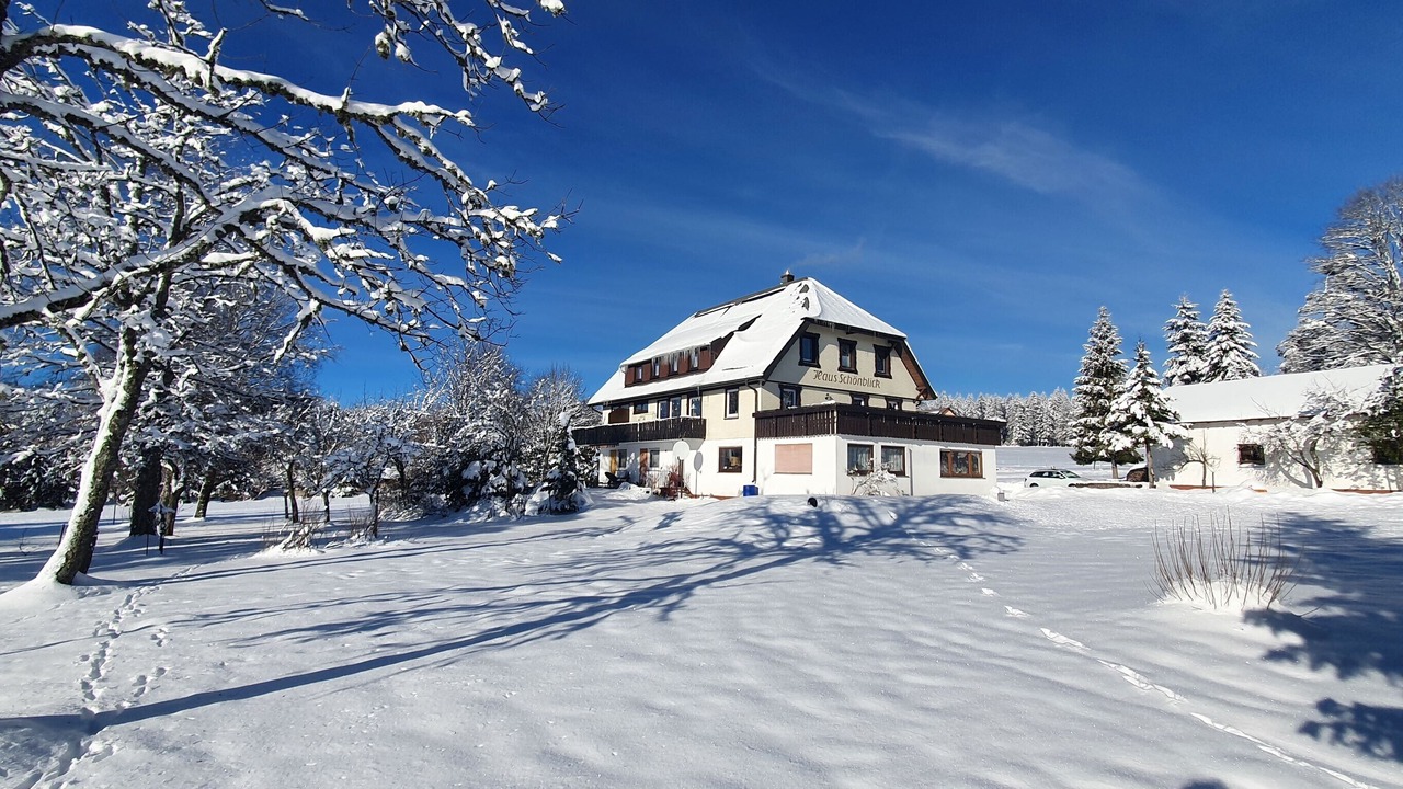 Photo of Outdoor in Kniebis