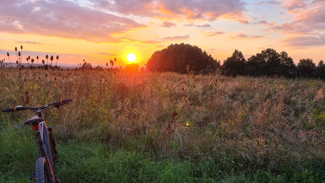 Photo of Outdoor in Wilhelmsthal