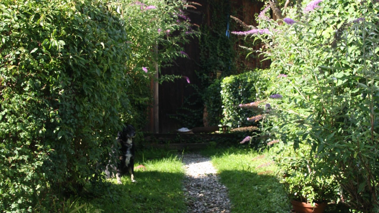 Photo of Outdoor in Frasdorf