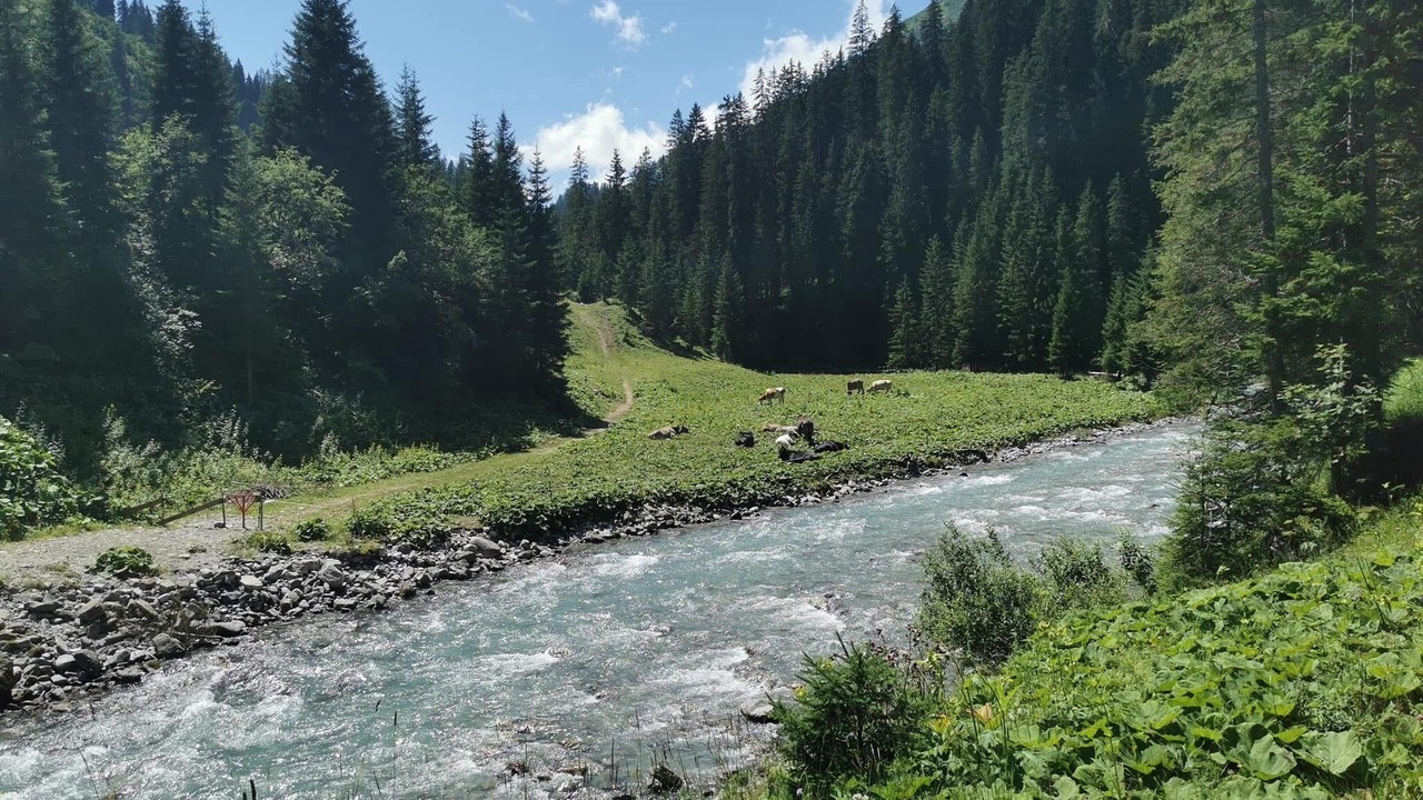 Photo of Others in Vorderhornbach