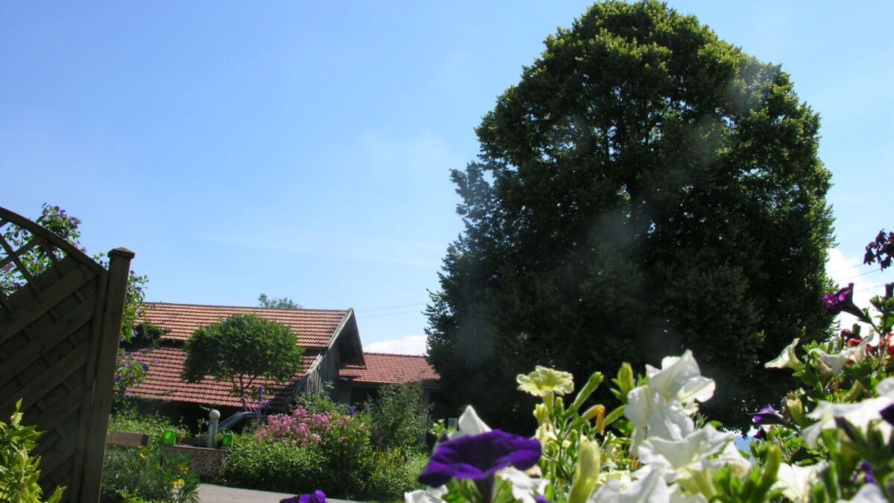 Photo of Outdoor in Ettensberg