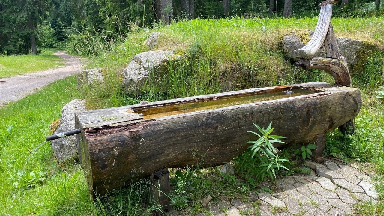 Photo of Others in Schonach im Schwarzwald