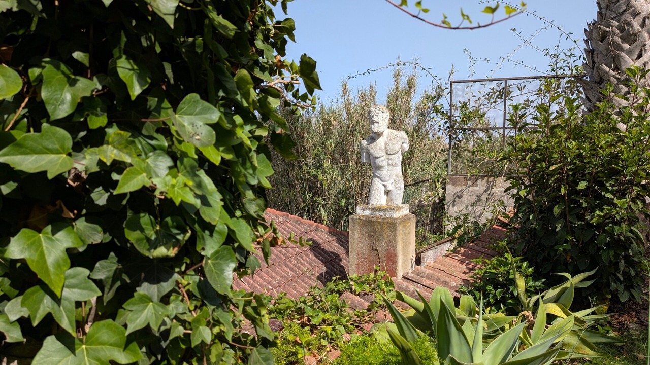 Photo of Outdoor in Los Portales